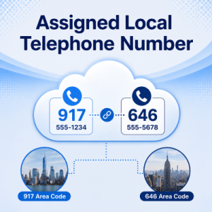 Private Local Telephone Number virtual office assigned telephone number