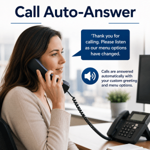 CALL AUTO ANSWER